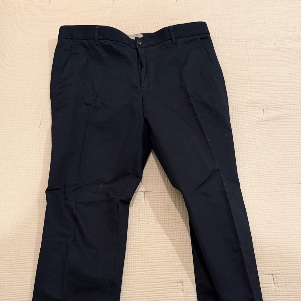Everlane Blue Dress Khakis - Classic Slim Fit